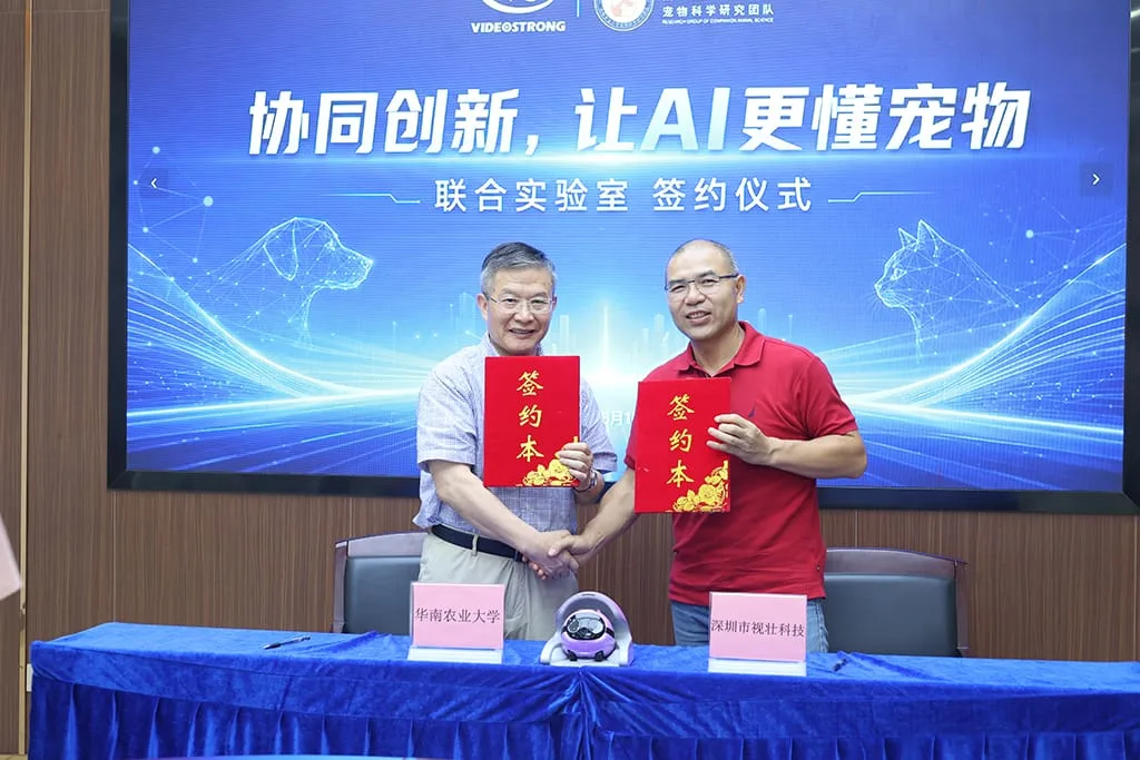六大核心 AI 能力矩阵